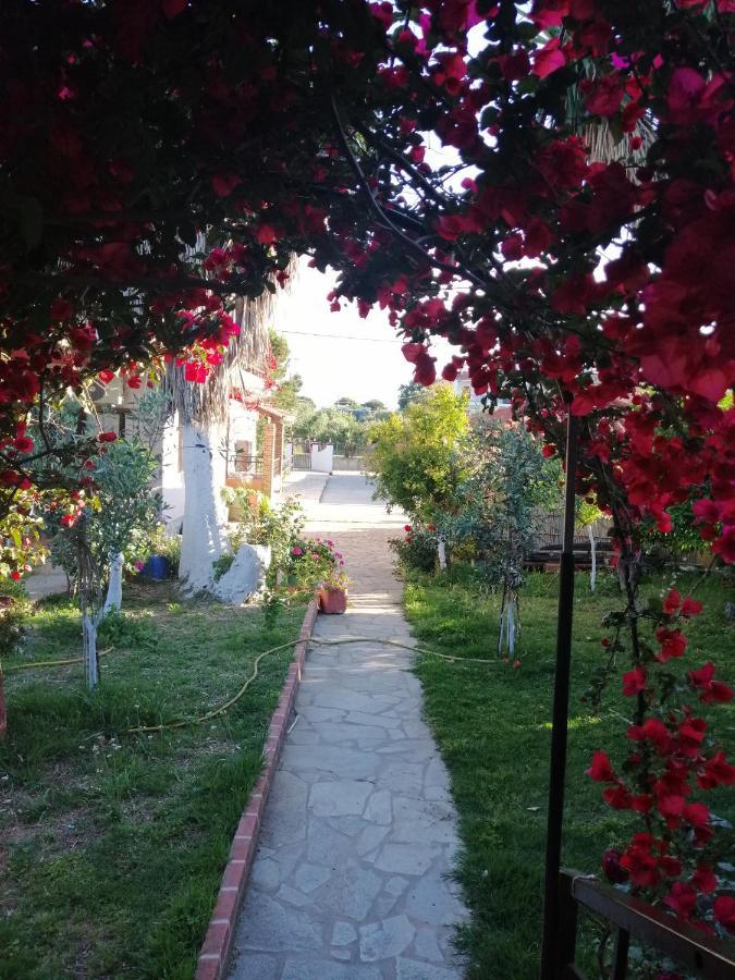Armonia Studios Agios Georgios  Exterior foto
